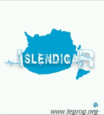 Couverture de Islendigar