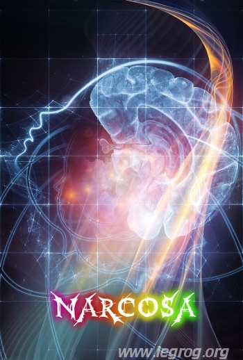 Couverture de Narcosa
