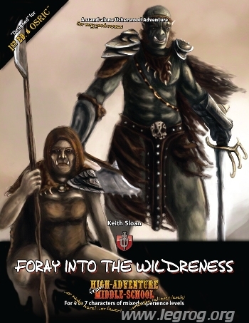 Couverture de Foray into the Wilderness