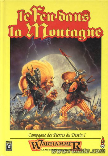Couverture de Feu dans la Montagne (Le)