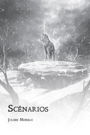 Couverture de Scénarios