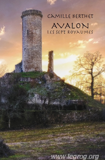 Couverture de Avalon