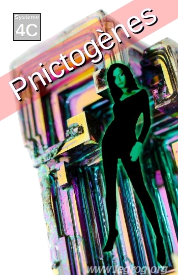 Couverture de Pnictogènes