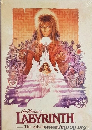 Couverture de Labyrinth