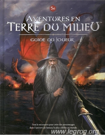 Couverture de Guide du Joueur