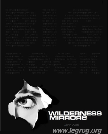 Couverture de Wilderness of Mirrors