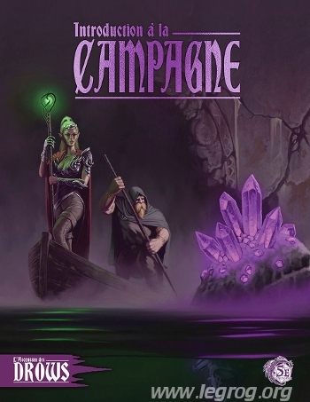 Couverture de Introduction à la Campagne