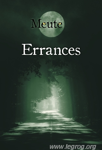 Couverture de Errances