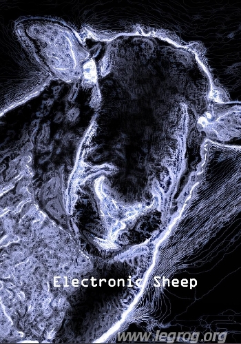 Couverture de Electronic Sheep