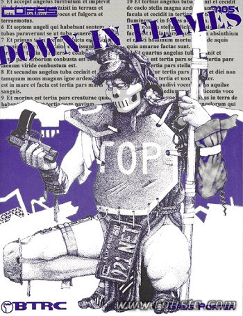 Couverture de Down In Flames