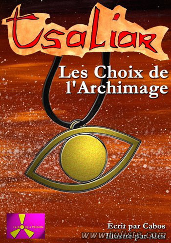 Couverture de Choix de l'Archimage - Le Sarinel (Les)