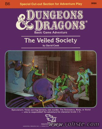 Couverture de B6 - The Veiled Society