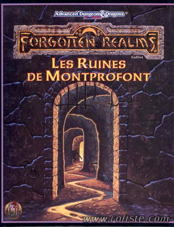 Couverture de Ruines de Montprofond (Les)