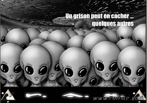 Couverture de Grison Peut en Cacher... Quelques Autres (Un)
