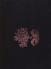 Symbaroum