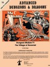 T1 - The Village of Hommlet