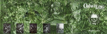 Storyteller's Screen